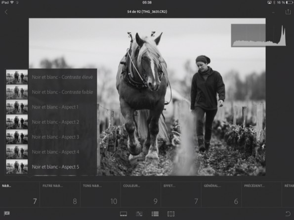 Lightroom mobile presets