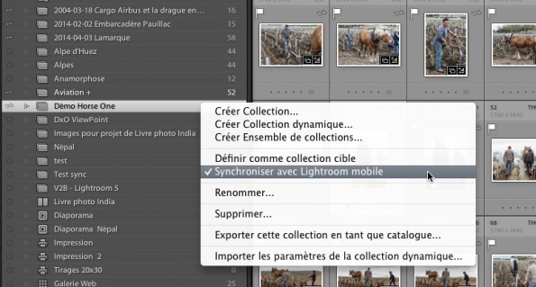 Synchro collections avec Lr mobile