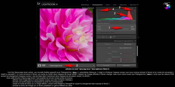 Gestion des couleurs Lightroom par  Christophe Métairie